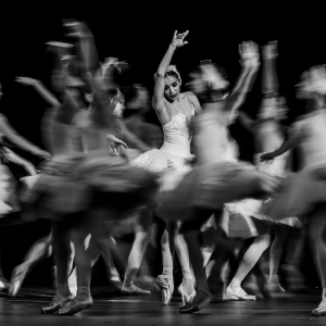 Review/Photos: SWAN LAKE at Academy Of Music Photo